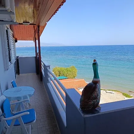 Beachfront Luxury - On The Ii شقة